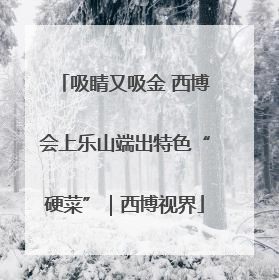 吸睛又吸金 西博会上乐山端出特色“硬菜”｜西博视界